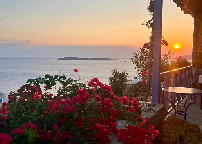 Natasa * 巴特斯欧